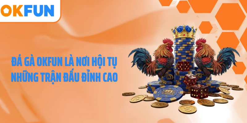 Đá gà OKFUN là nơi hội tụ những trận đấu đỉnh cao