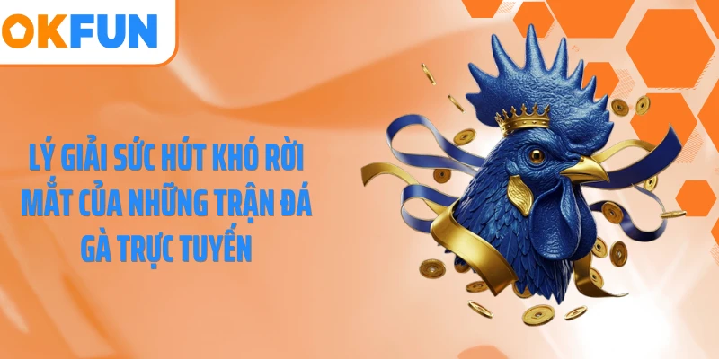 Lý giải sức hút khó rời mắt của những trận đá gà trực tuyến