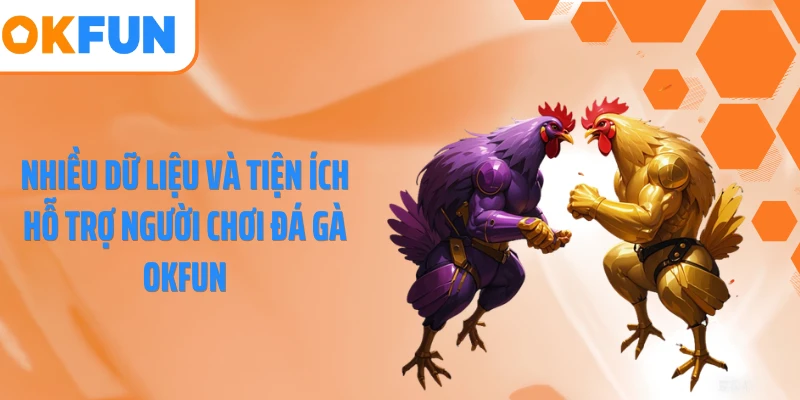 Nhiều dữ liệu và tiện ích hỗ trợ người chơi đá gà OKFUN